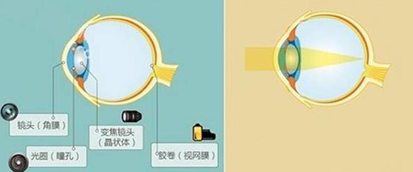 怎么佩戴老花鏡？驗(yàn)光 品牌 質(zhì)量 保養(yǎng)一個(gè)都不能少