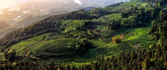 美麗島多焦鏡：這個明凈新春，以時間為軸，扶搖直上